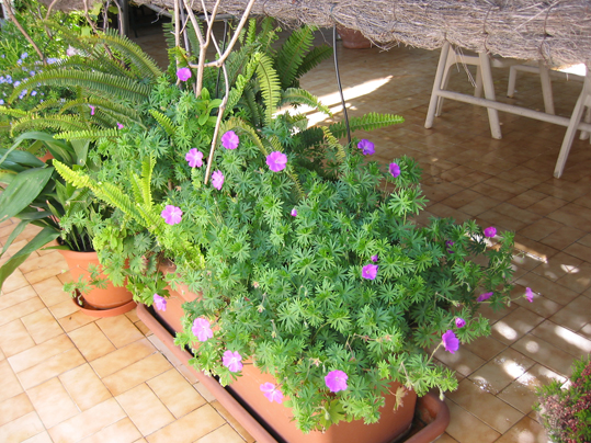 IMG_01581.jpg