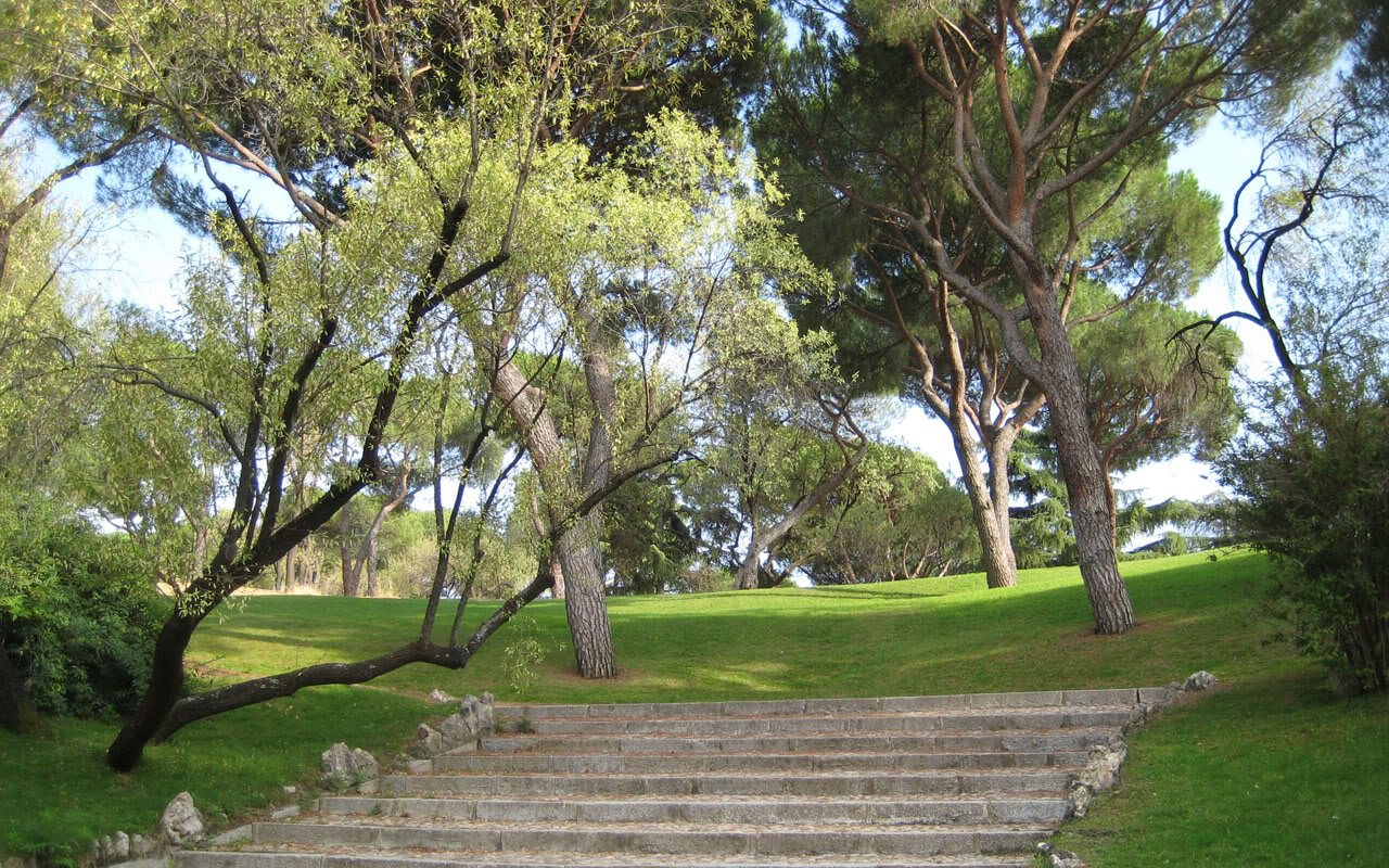 IMG_0194.jpg