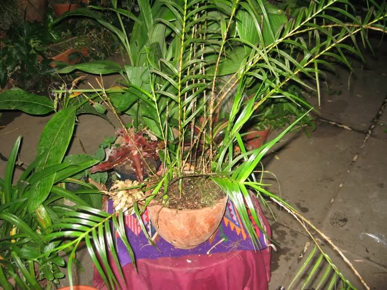 IMG_0328.jpg
