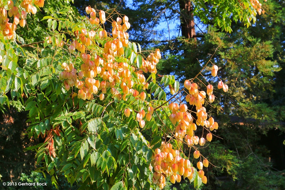 IMG_03788.jpg