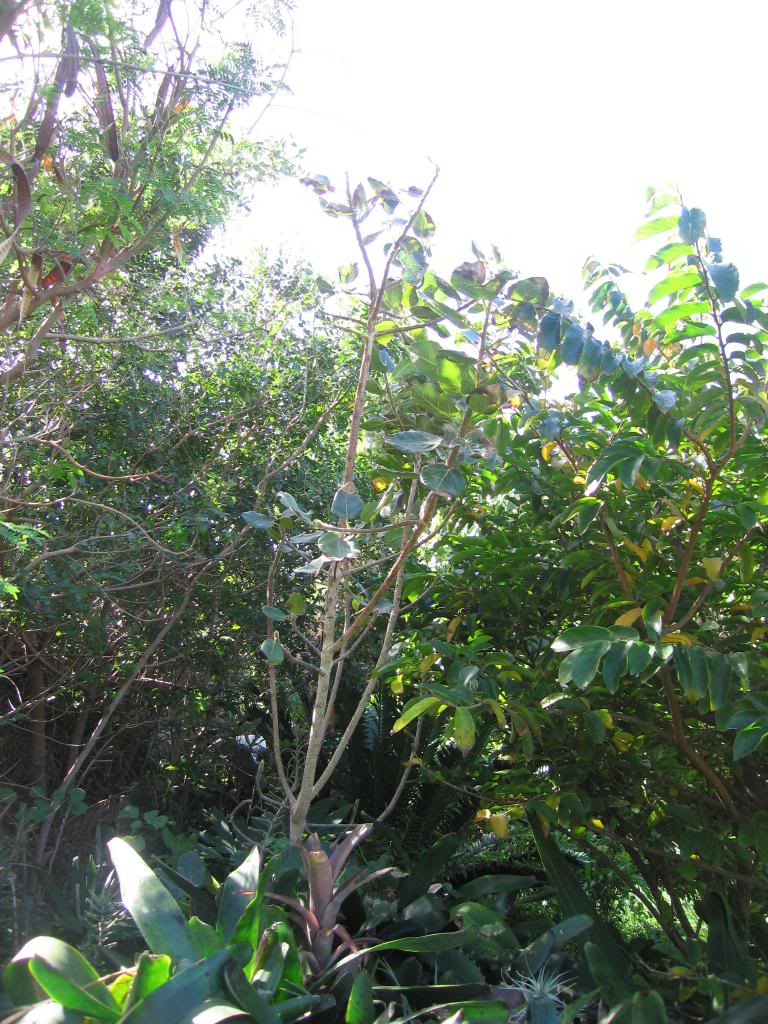 IMG_0524_zps4899f439.jpg