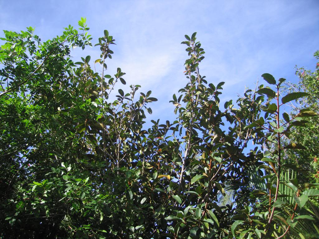 IMG_0555_zpsead98cee.jpg