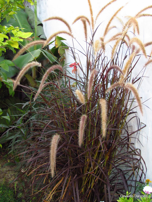 IMG_0718.JPG