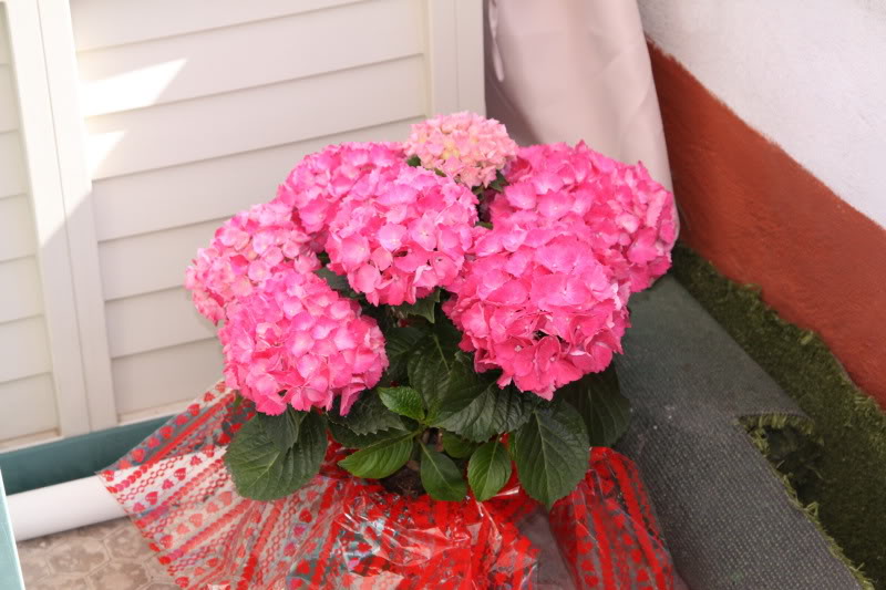IMG_0788_redimensionar.jpg