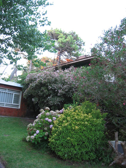 IMG_0795%7E3.jpg