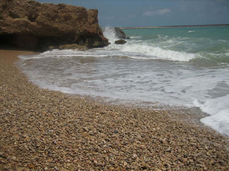 IMG_0814.jpg