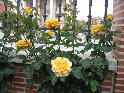 Img_0820.jpg