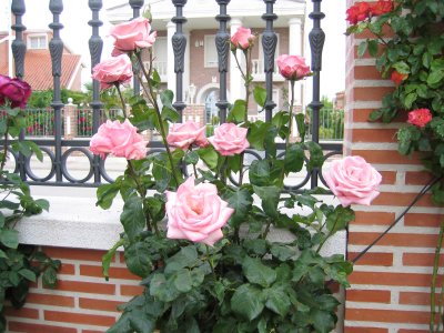 Img_0821.jpg