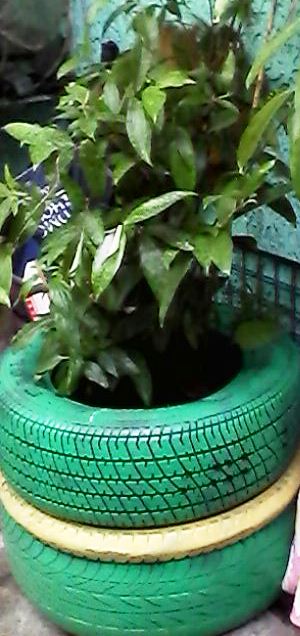 IMG_082812_0069.jpg