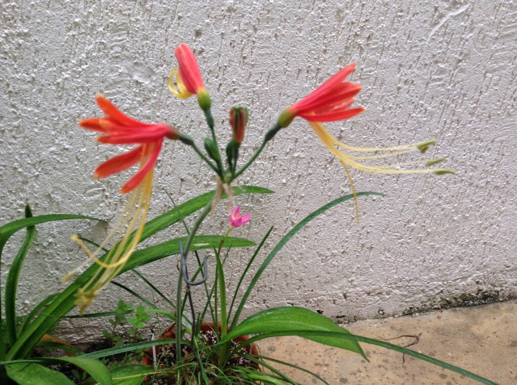 IMG_0891.JPG