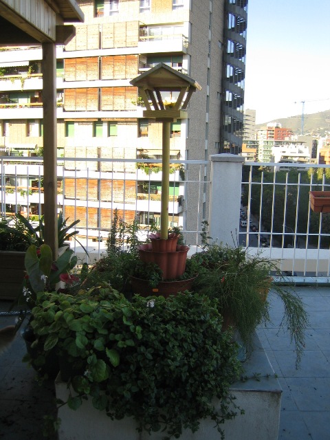 IMG_0932.JPG