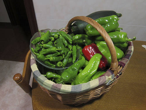 IMG_1120.jpg