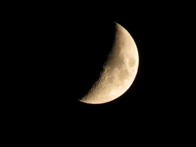 IMG_1224.JPG