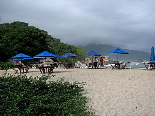 IMG_1256.jpg