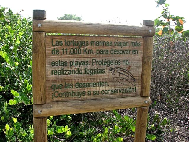 IMG_1258.jpg