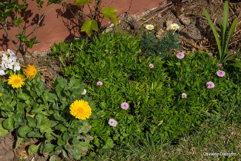 IMG_1267_L.jpg