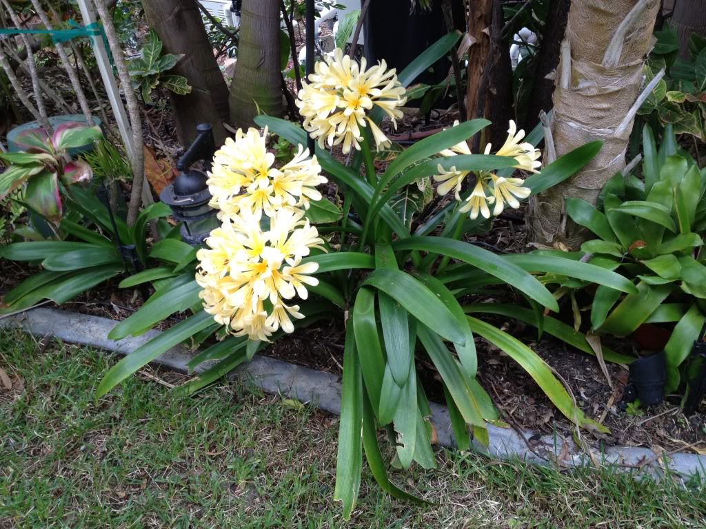 IMG_1310.jpg
