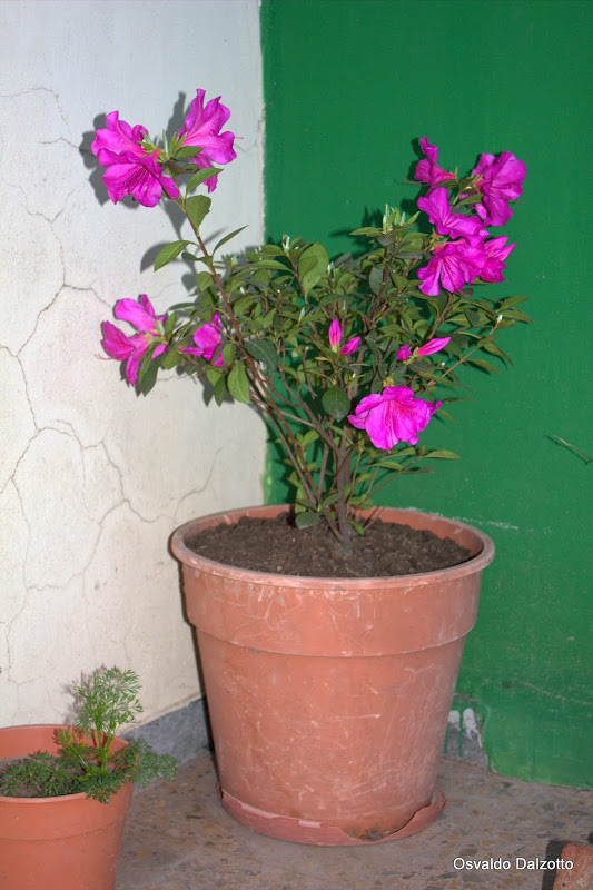 IMG_1347.CR2.jpg