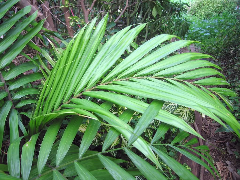 IMG_1442.jpg