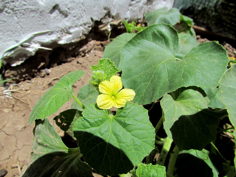 IMG_1456.JPG