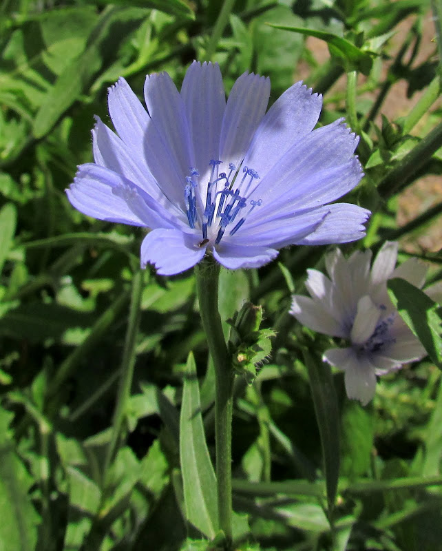 IMG_1457.JPG