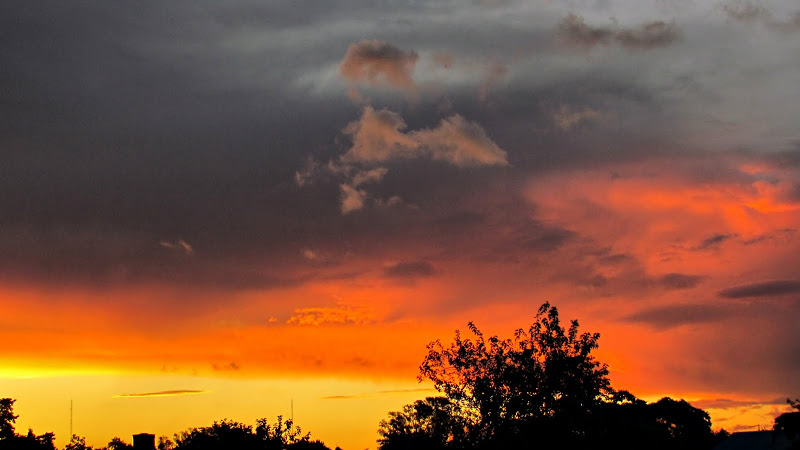 IMG_1526b.jpg