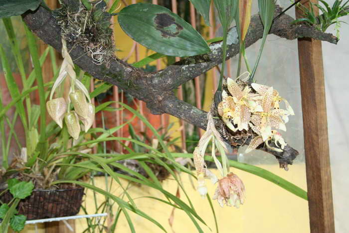 IMG_1586a.jpg