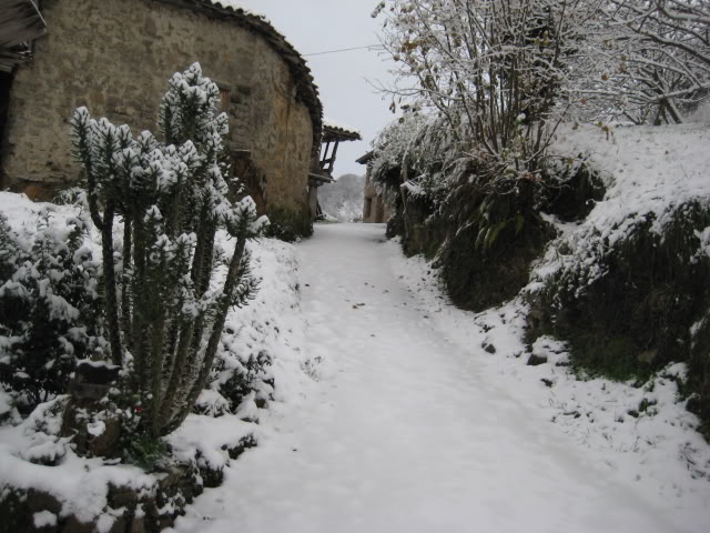 IMG_1636.jpg