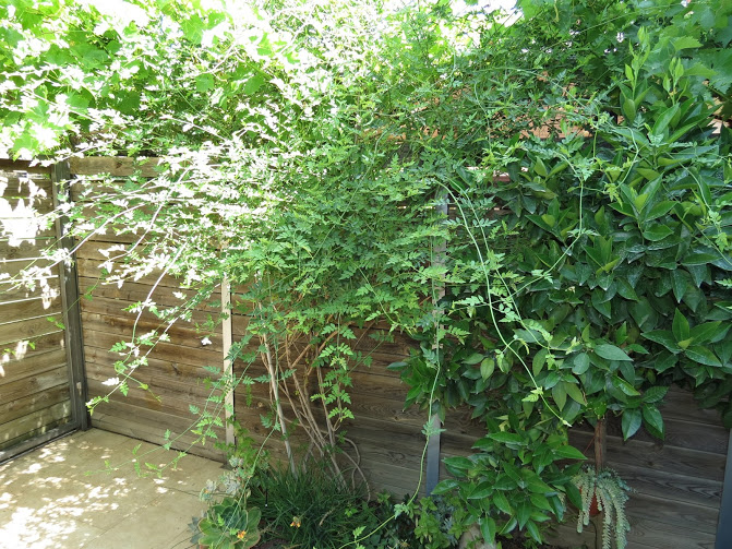 IMG_1653.JPG