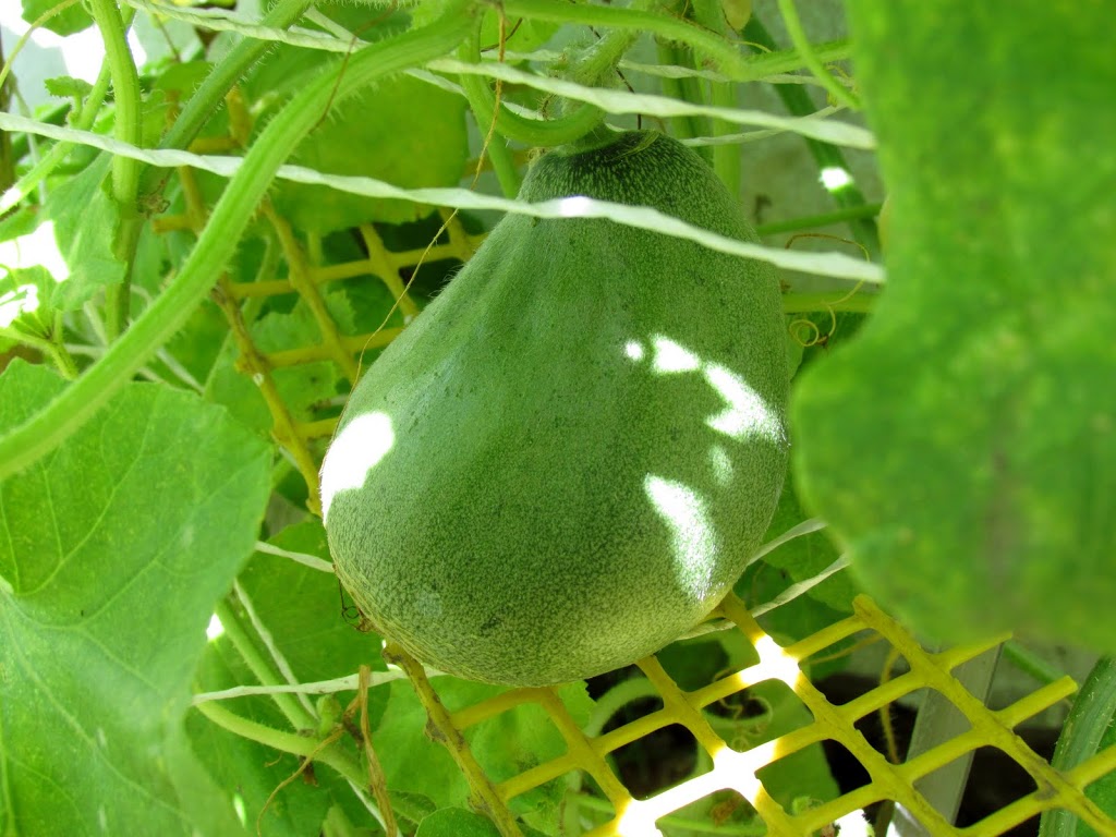 IMG_1689.JPG