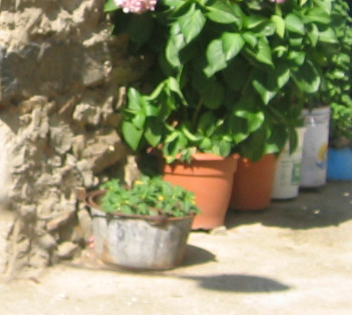 IMG_1777c.jpg