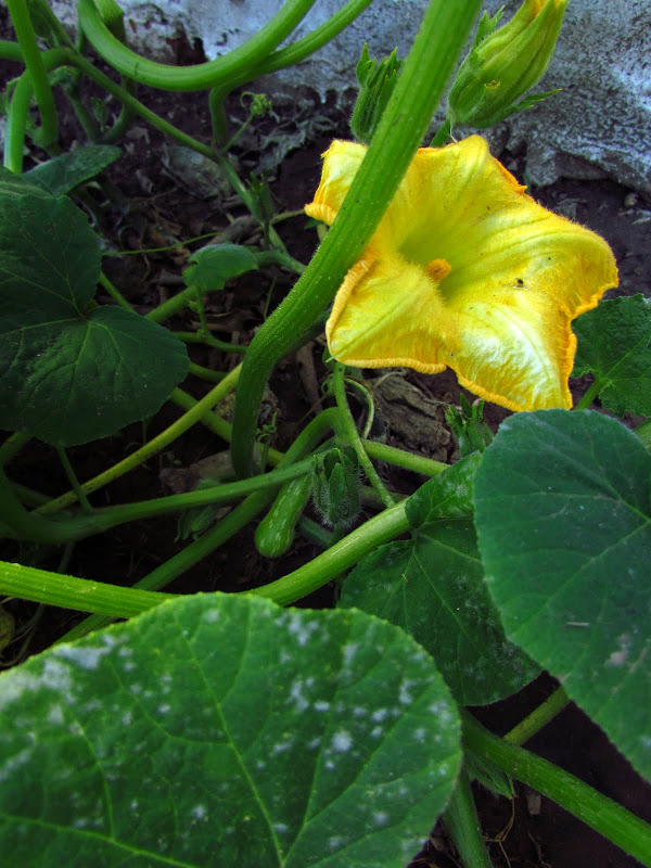 IMG_1874.JPG