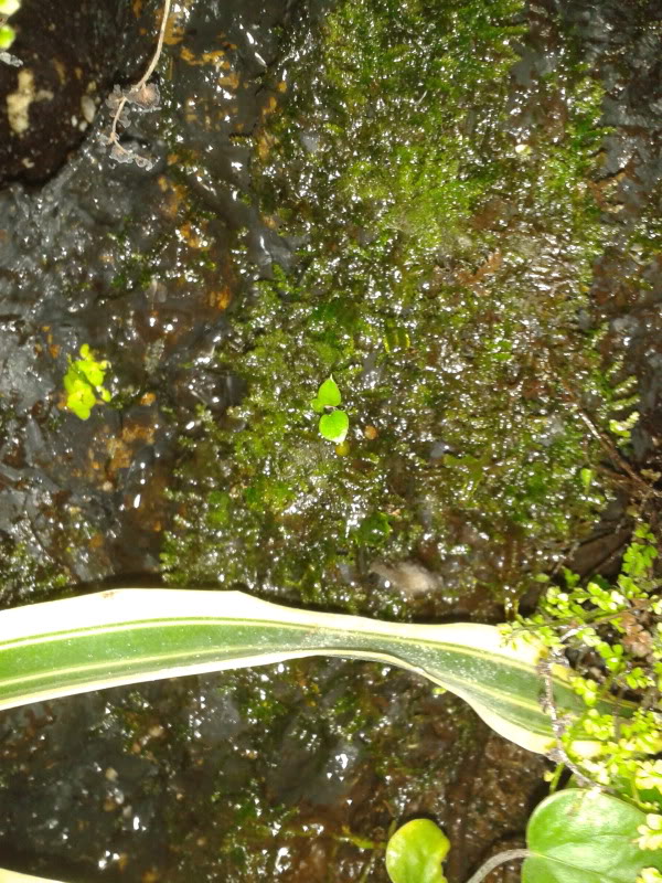 IMG_20120613_232025.jpg