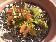 IMG_20120721_WA0000.jpg