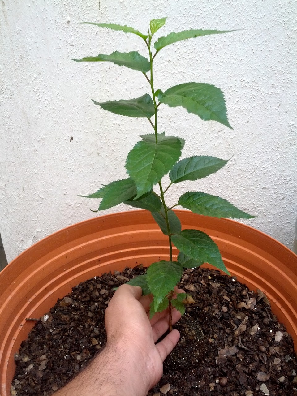 IMG_20120907_101846.jpg