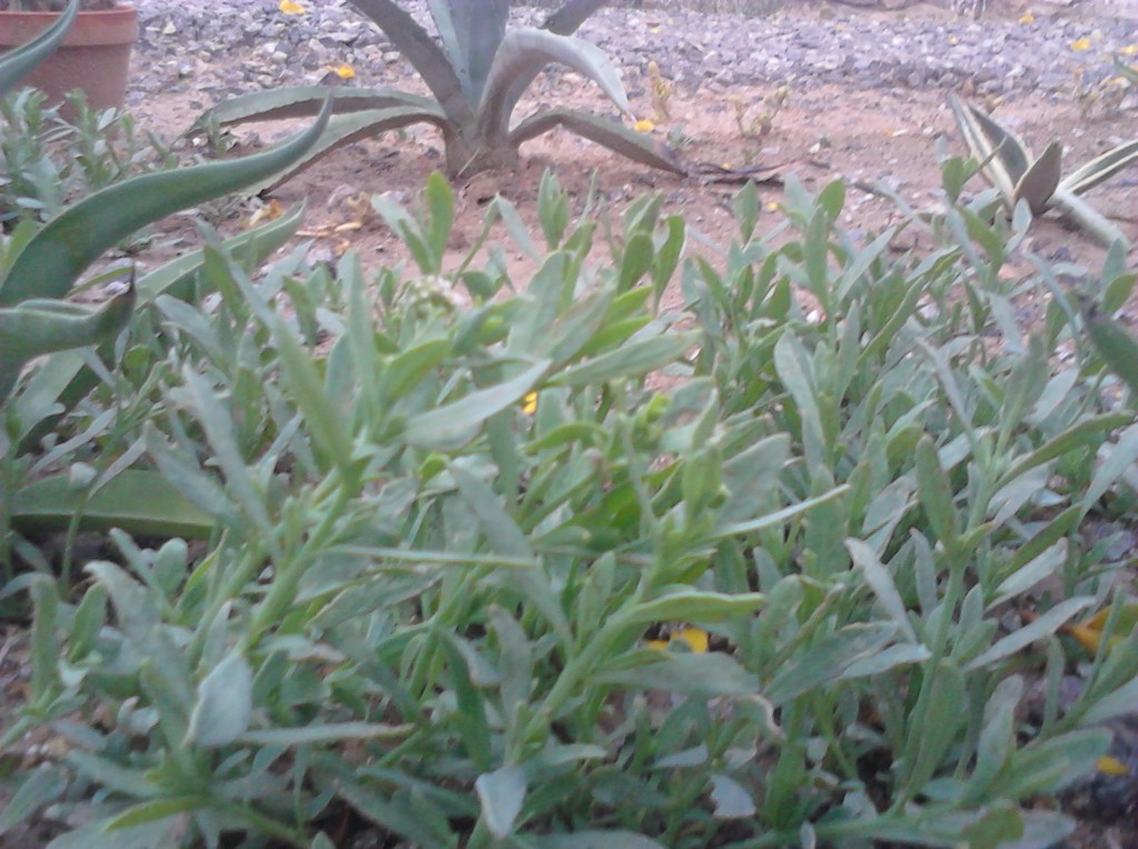 IMG_20120908_180122.jpg