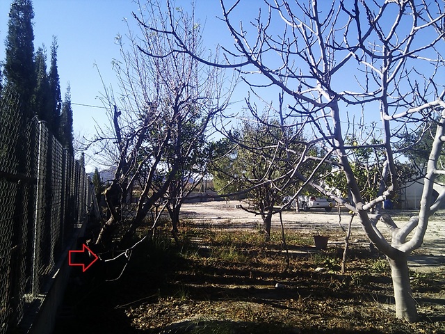 IMG_20130106_115800.jpg