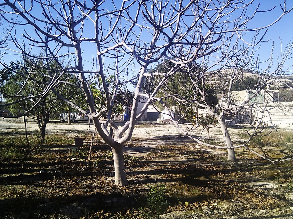 IMG_20130106_115810.jpg