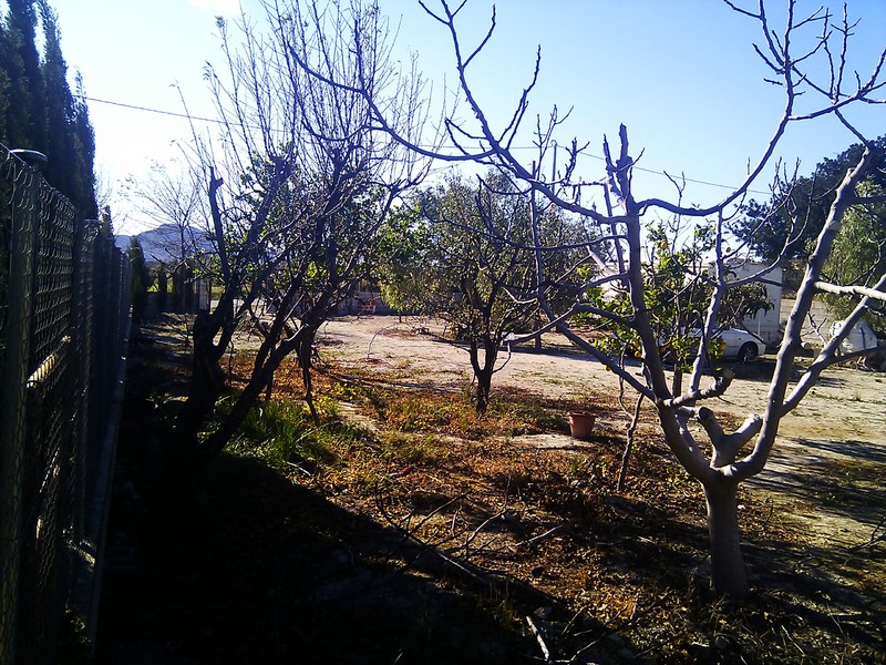 IMG_20130113_143442.jpg