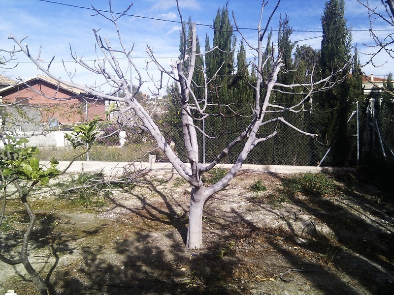 IMG_20130120_143643.jpg