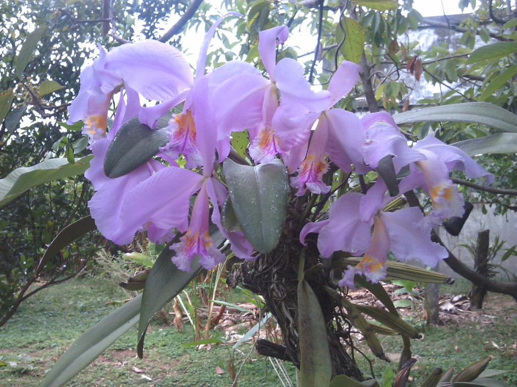 IMG_20130220_095126.jpg