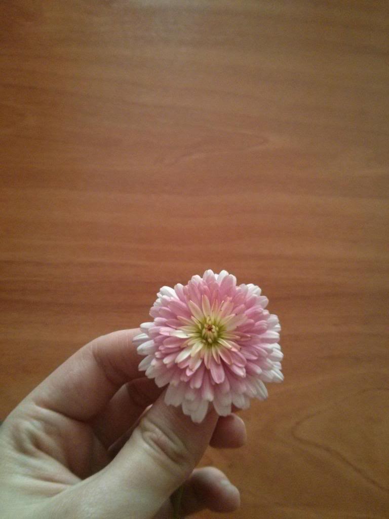 IMG_20130331_172045.jpg