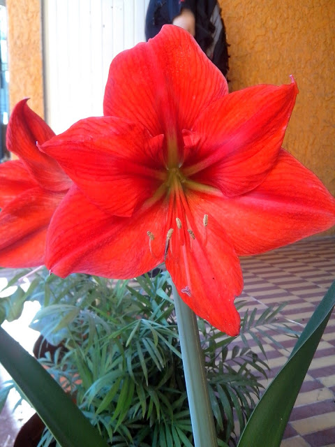 IMG_20130414_091619.jpg