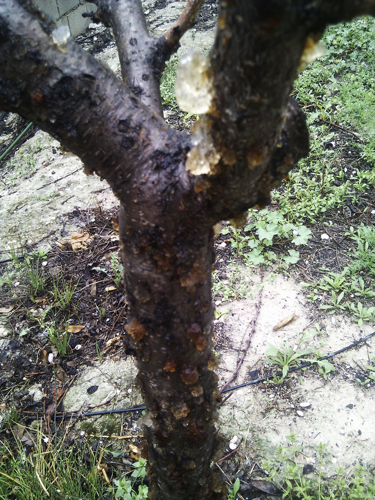 IMG_20130428_140928.jpg