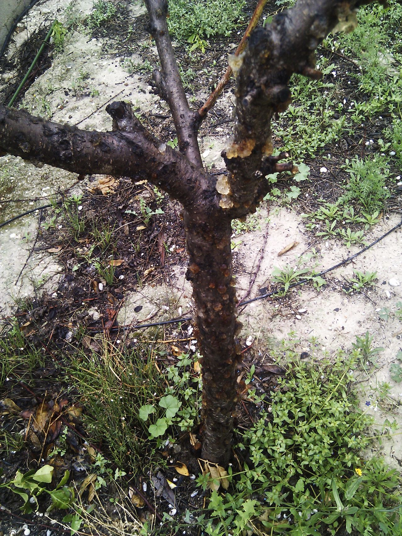 IMG_20130428_141020.jpg