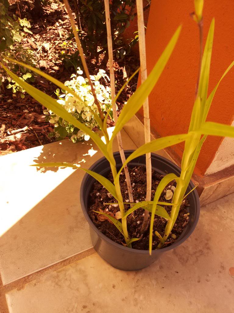 IMG_20130501_101856.jpg