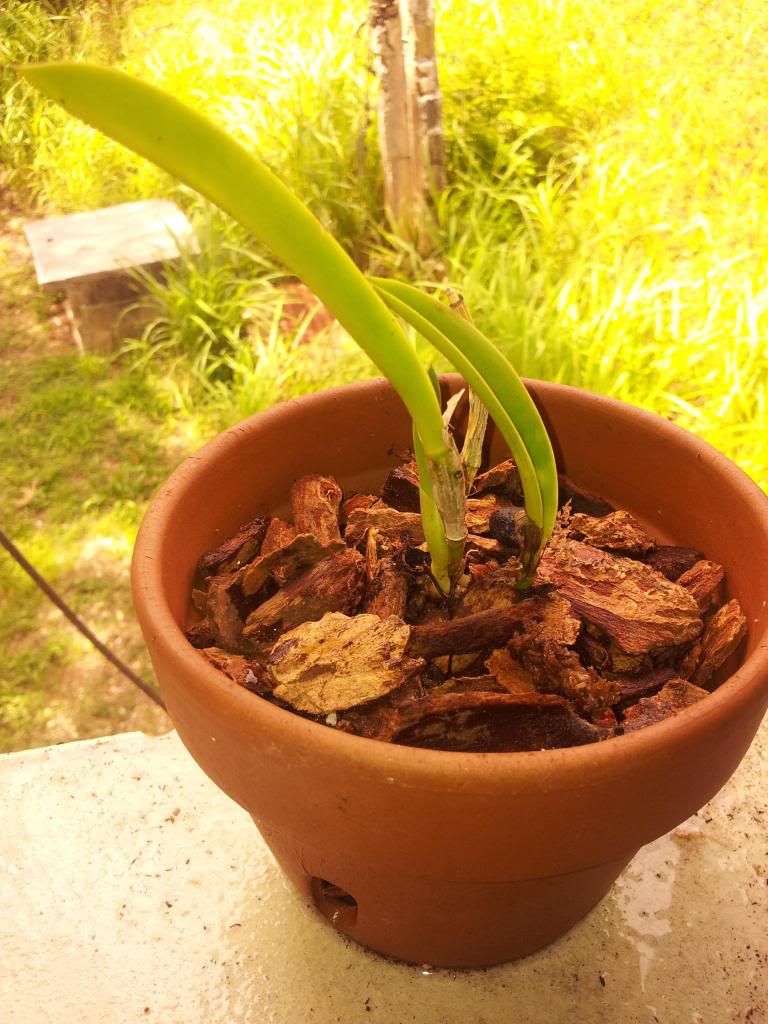 IMG_20130504_141831.jpg