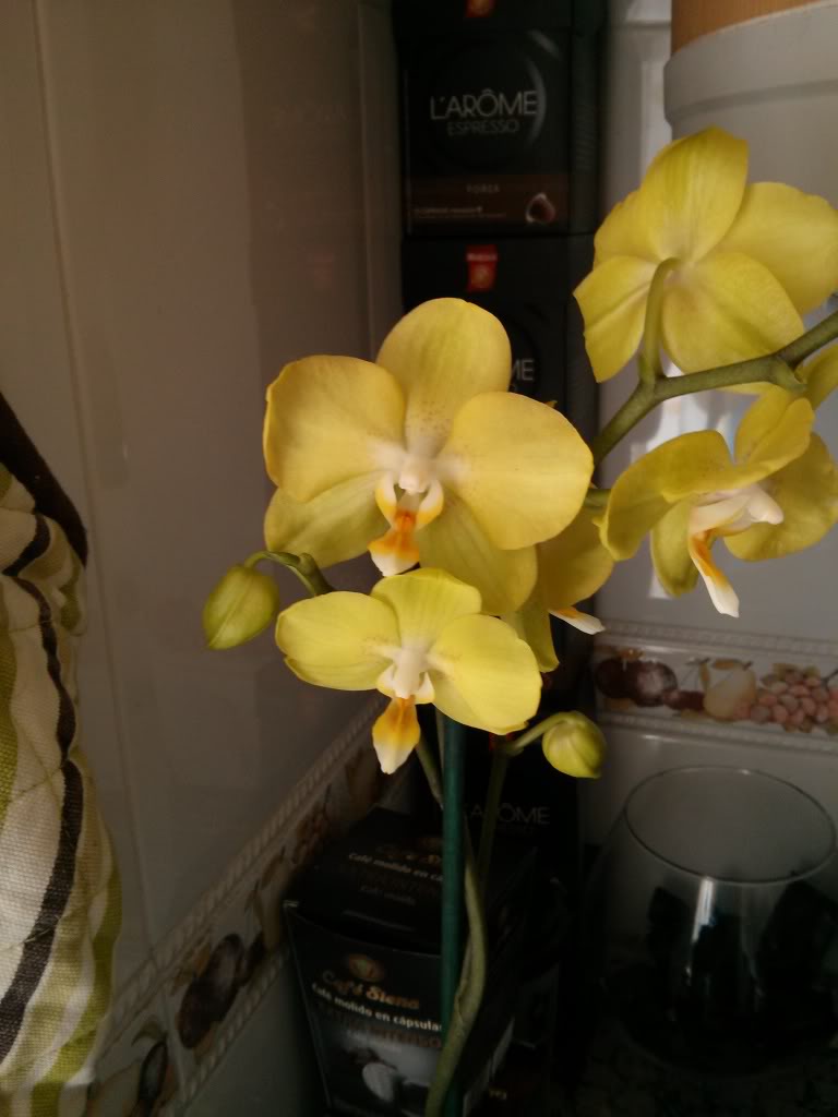 IMG_20130514_151826.jpg