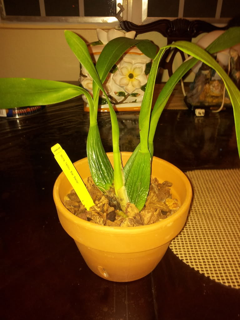 IMG_20130514_220933.jpg