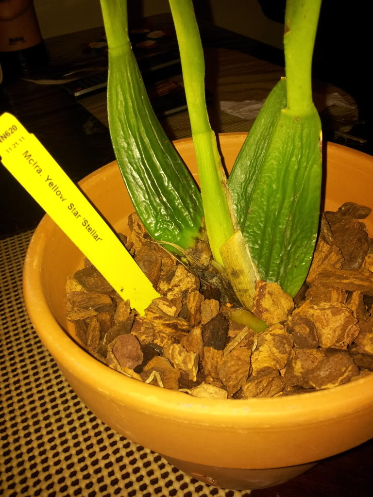 IMG_20130514_221004.jpg